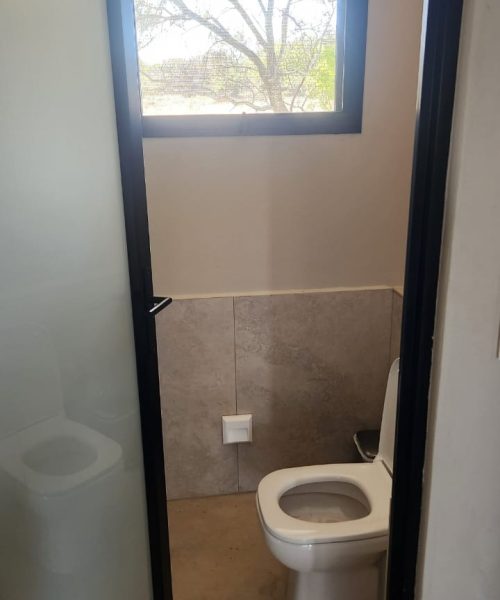 Hinged-Single-Door-with-white-trans-glass-and-casement-tophang-window-with-fly-screen-in-black-1